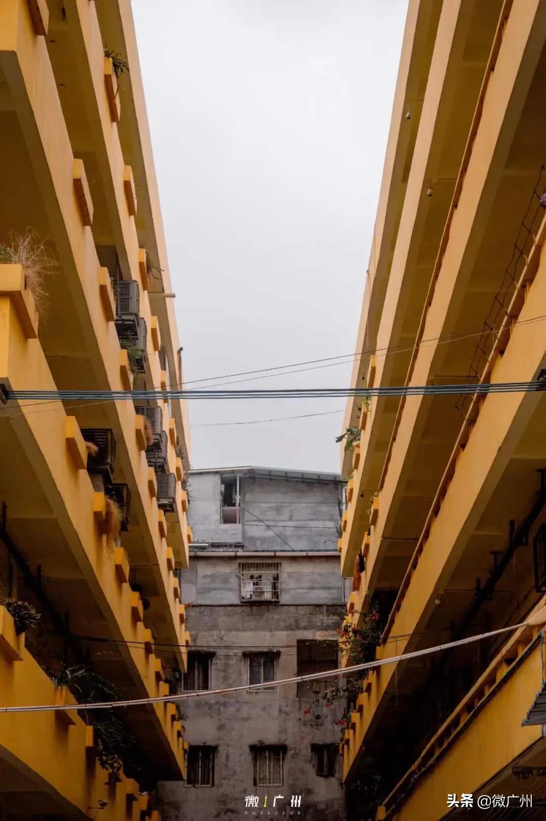 用10张照片结束我的深圳之旅,用39张照片结束我的武汉之旅