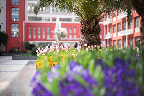 上海世界外国语和协和双语,上海市世界外国语中学分数线