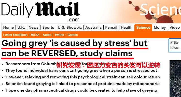 特朗普一夜白发,特朗普白头