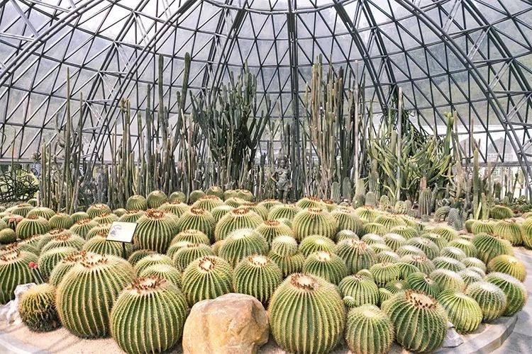 最美湖泊小众风景,最美湖泊西湖