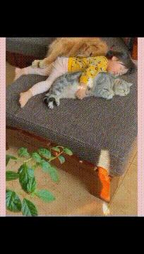 搞笑gif开心一刻原来高手在民间,搞笑gif开心一刻不按常理出牌