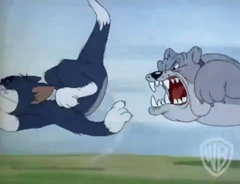 毛茸茸的小狗狗是不是很可爱呢,毛茸茸的狗很大个