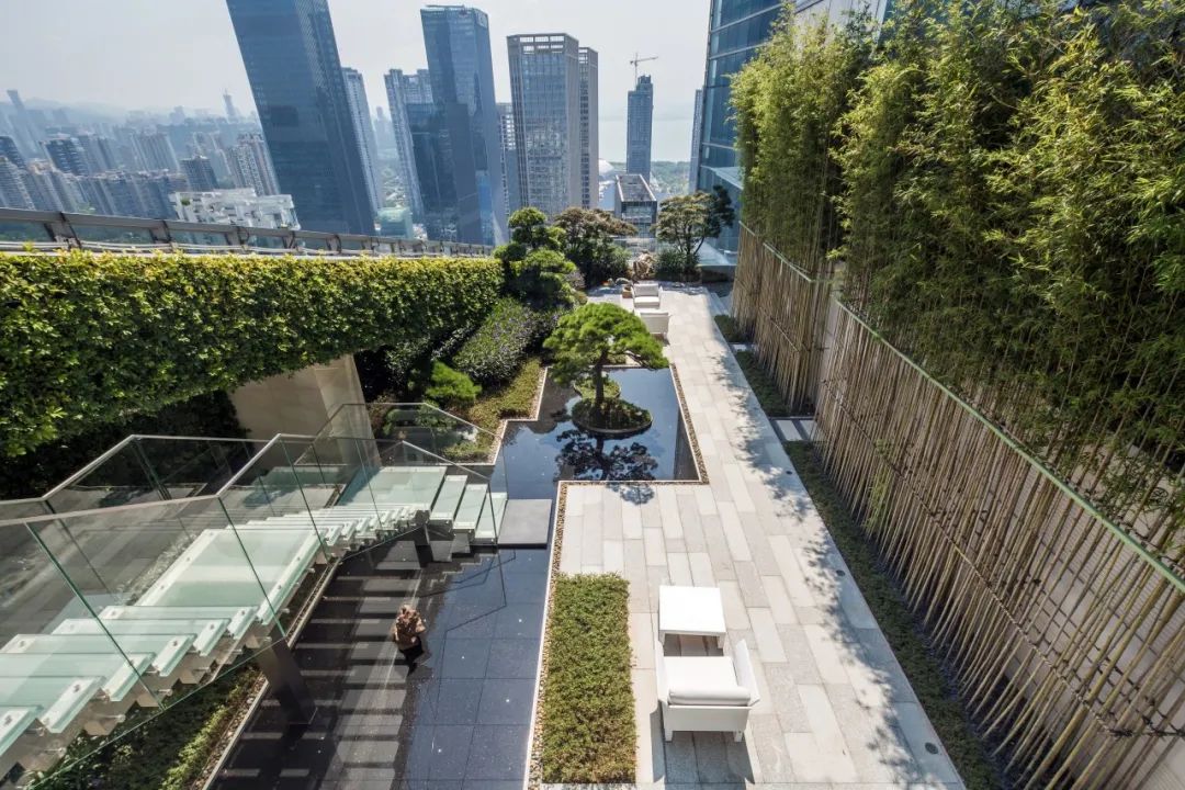 禅意景观中华文化,美学欣赏中国古典园林之美