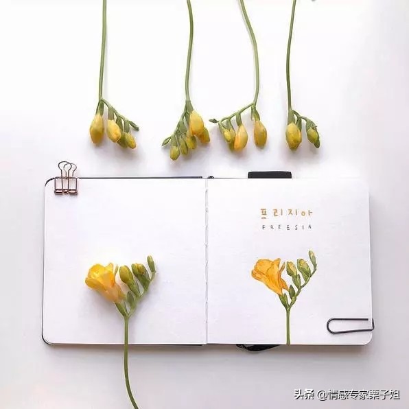 女人什么事都想着男人最后会怎样,女人心里想的和男人心里想的