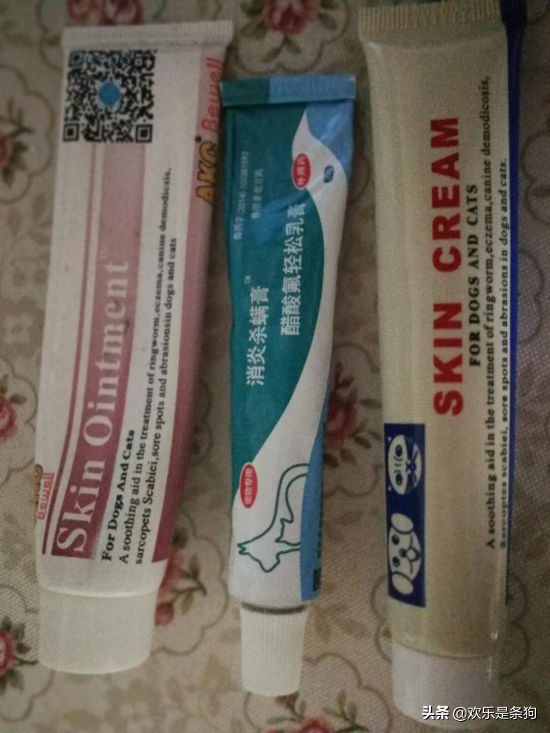 刚买的宠物狗要怎么养,刚抱养的狗狗注意事项