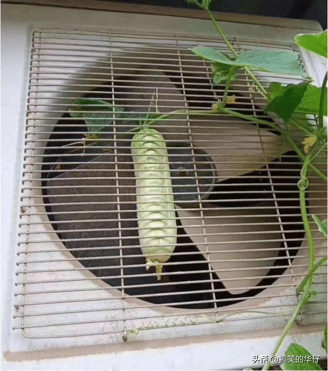 奶奶不在了可以不还花呗吗,用奶奶借花呗奶奶去世还用还吗