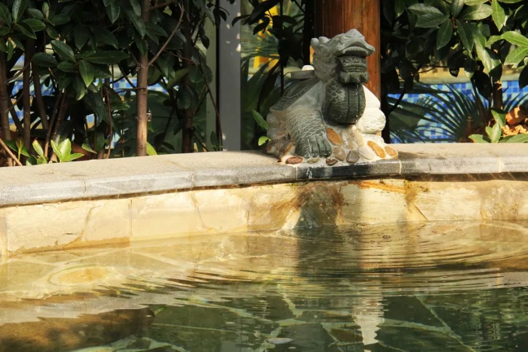 苏州四季恒温水乐园温泉,苏州天颐温泉度假村