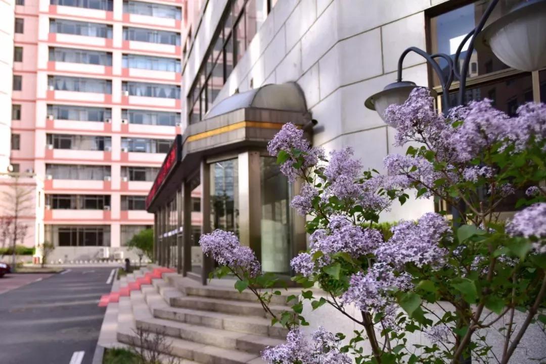 天津公办3+2本科学校有哪些,天津市专升本天津师范大学