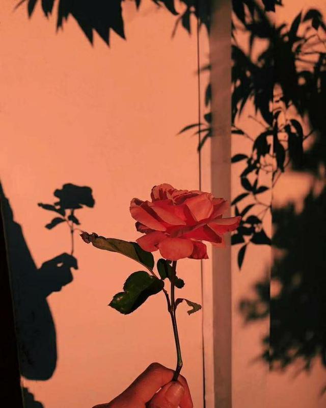 关于纯爱的小说金句,各部甜文小说经典语录