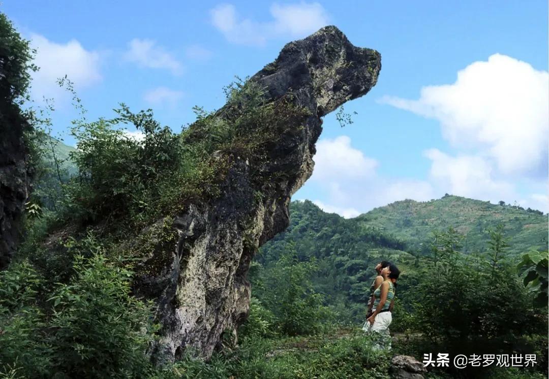 渠县人的生活记忆,渠县文化历史特色有哪些