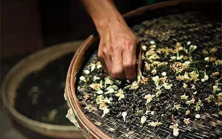 吴裕泰茶韵1887,吴裕泰茶文化活动