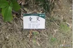 物业为业主提供暖心服务有哪些,物业温情服务标准