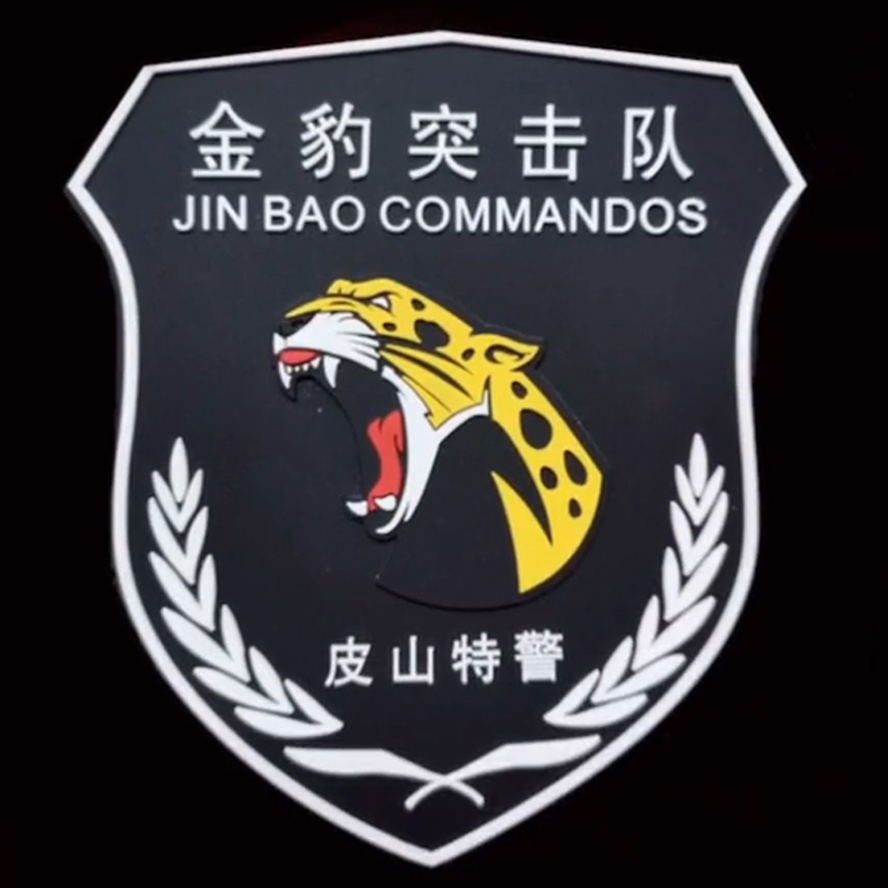 全国各个城市特警队臂章,公安特警帅图