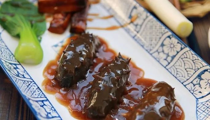 远销日韩，一斤可卖数千元！这条海中名“参”，为啥能卖这么贵？