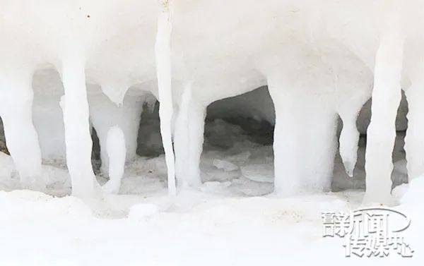 壮观的北极峡湾,壮观冰雪世界