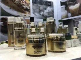 各美其美万象争荣,各美其美万象争荣作品