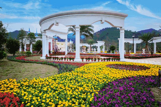 美的鹭湖99元3房一厅主题公寓,美的鹭湖附近公寓