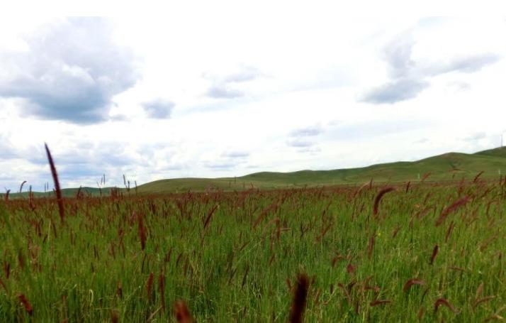 端午节一起去探访狼图腾的拍摄地