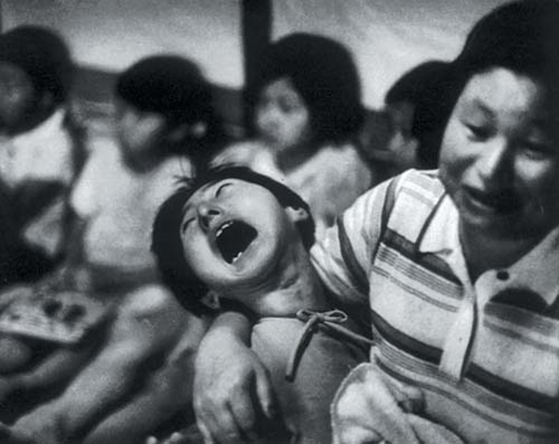 美食→生物材料|小龙虾和螃蟹→伤口敷料