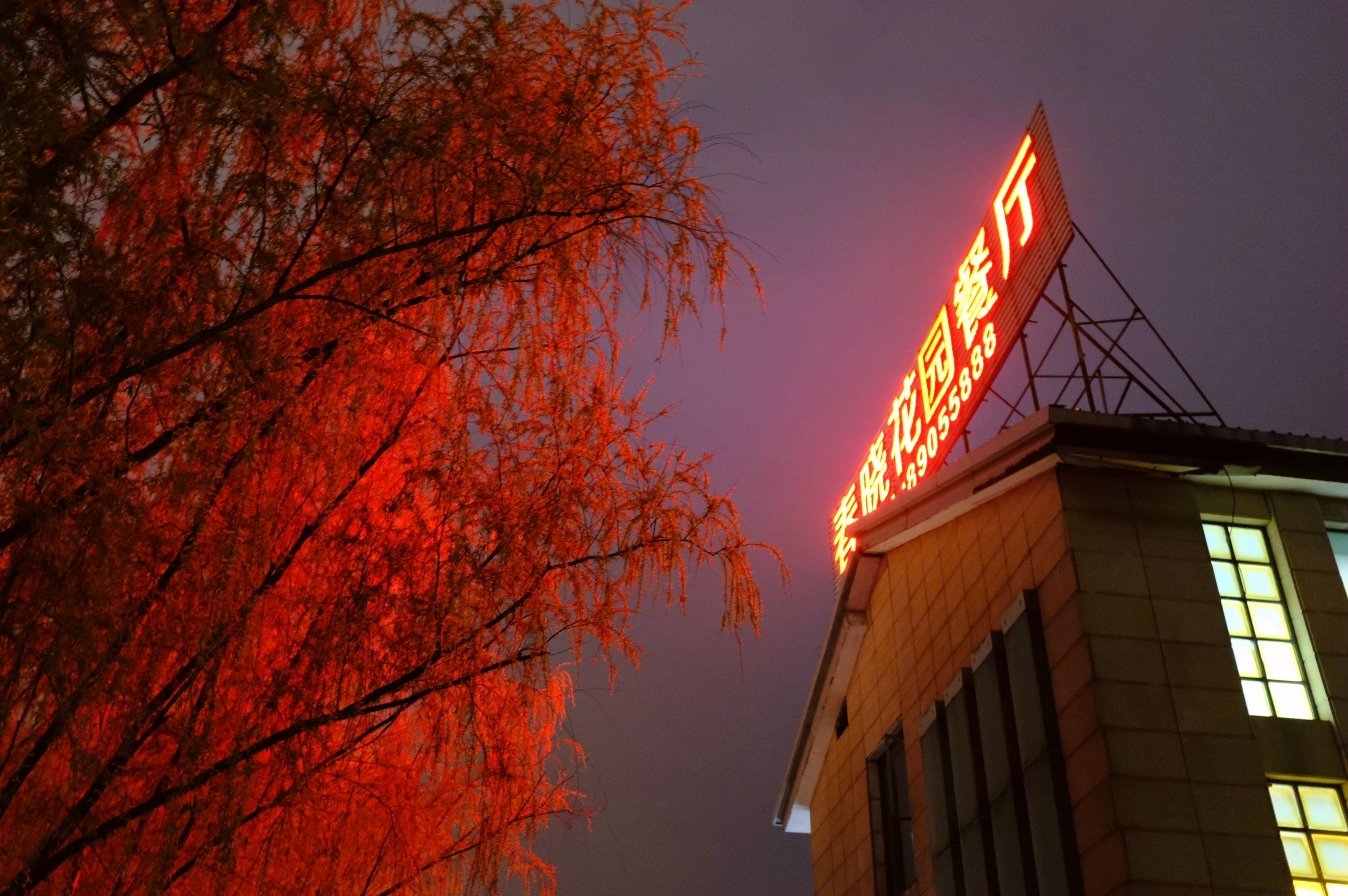 地方清明时节特色美食,清明各地方美食