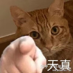 googleads广告是美元吗,googleads如何投放广告