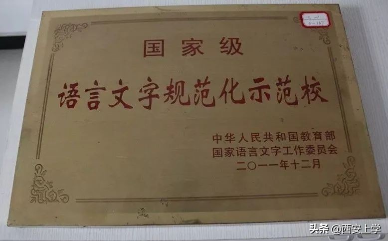 体育特长生西安,西安市体育特长生招生计划2024