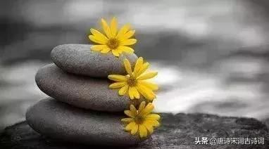 杜牧写下一诗短短4句感人至深,杜牧的十首经典诗篇