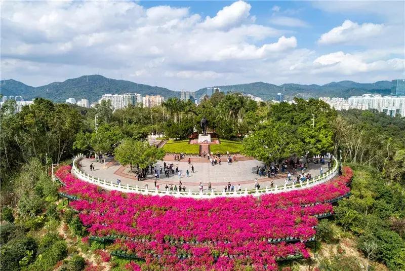 深圳莲花山真的美,深圳莲花山有什么特别的地方