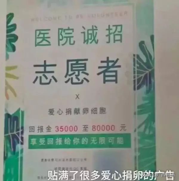 拜金的代价知乎,拜金的代价