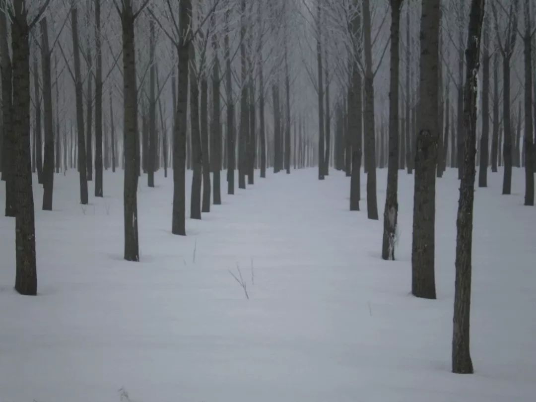 敬礼缅甸语,畹町桥边防武警向抗日老兵敬礼