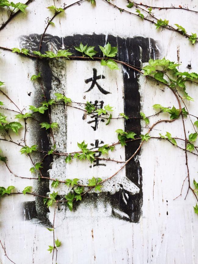 足球队员巡礼,北大男足足球队