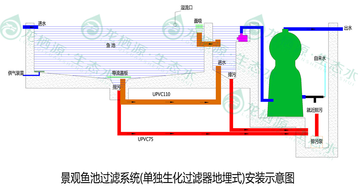 锦鲤鱼池过滤系统推荐,锦鲤鱼池过滤系统的施工过程