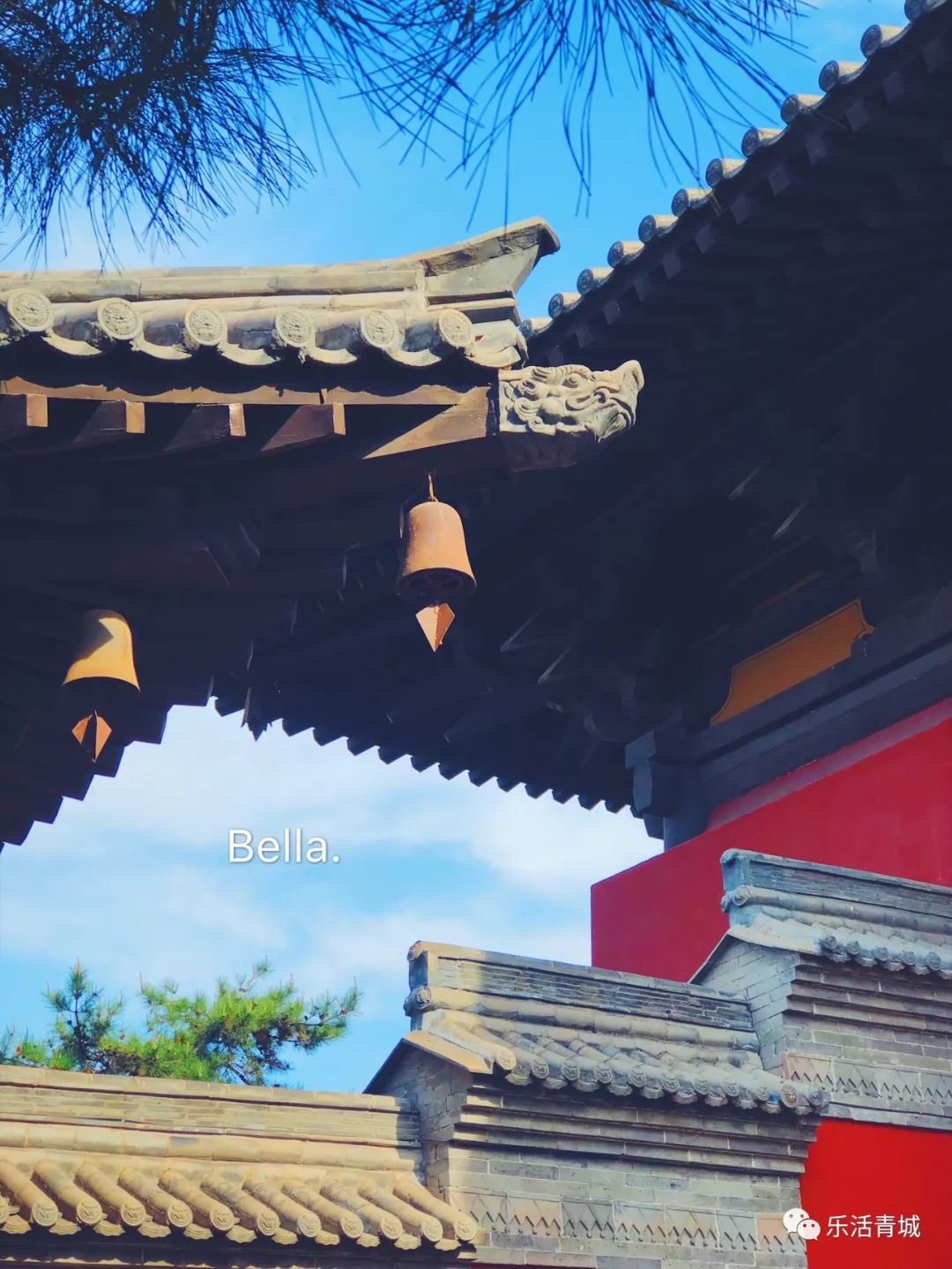 贝拉专访合集,贝拉专访完整版