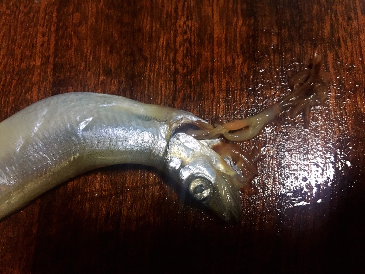 烤多春鱼正宗做法,香辣多春鱼各种做法