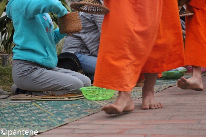 3月旅行最佳选择,3月旅行地点推荐亲子