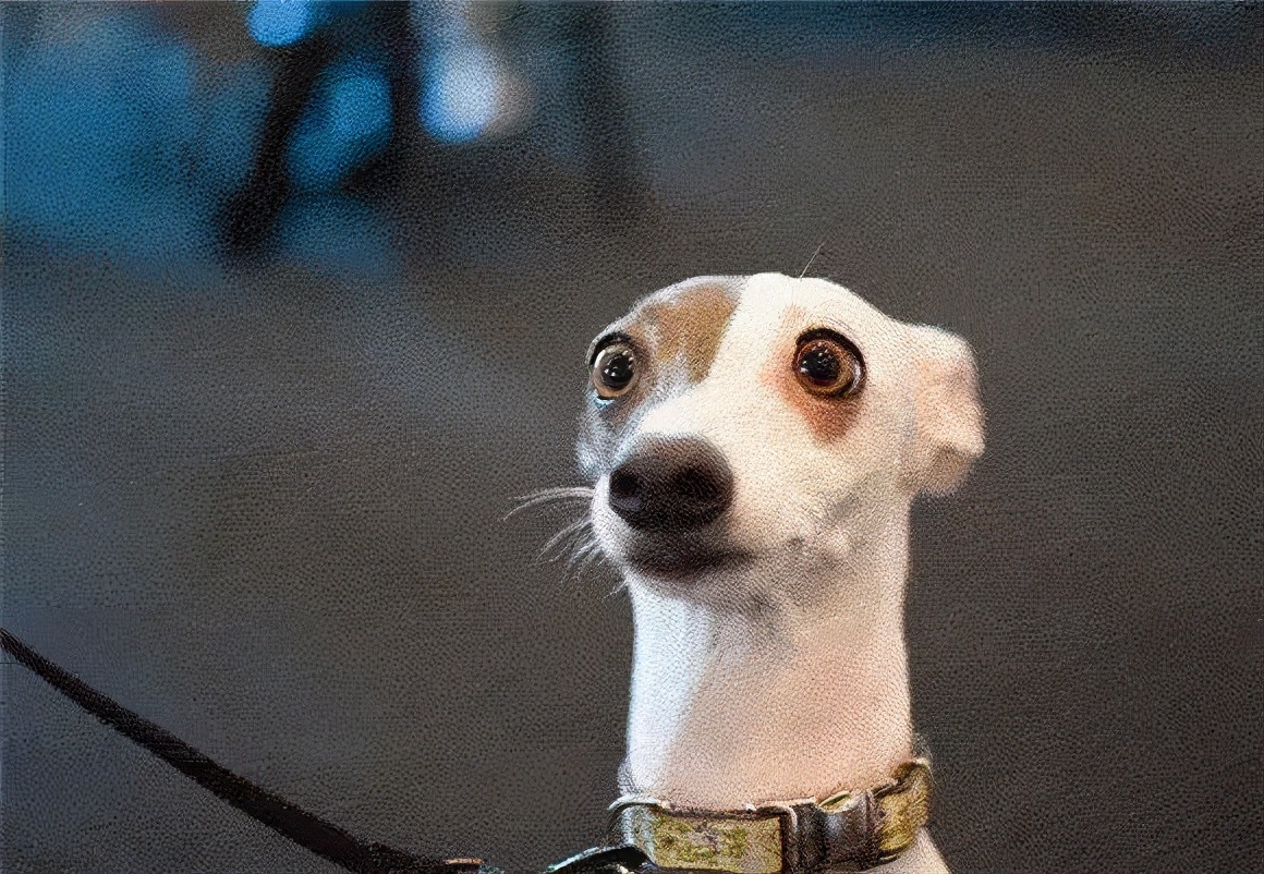 论文查重会被勒索吗,论文查重如何防止被收录