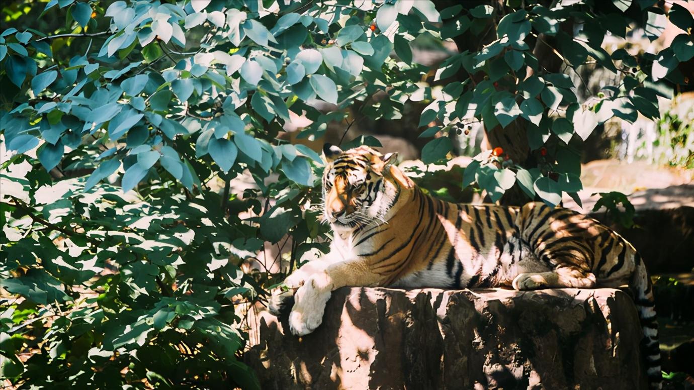 江苏扬州全面介绍,江苏省扬州市有什么区