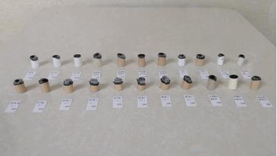 怎么分真假蕲艾,蕲艾的真假辨别