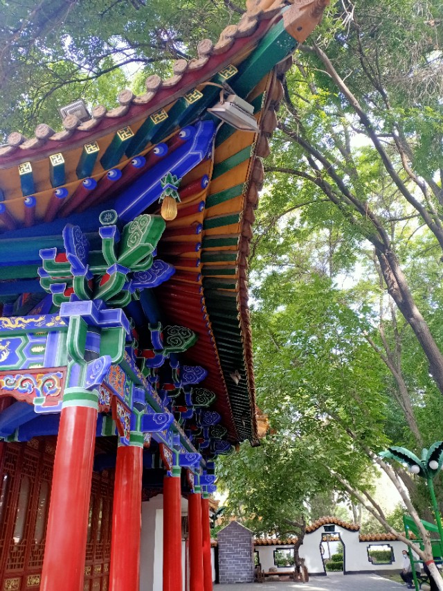 神奇的宁夏塞上江南美篇,宁夏的塞上江南在哪里呢