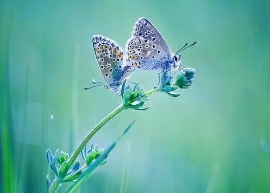 十首最美夏日诗词,最经典的夏日诗词