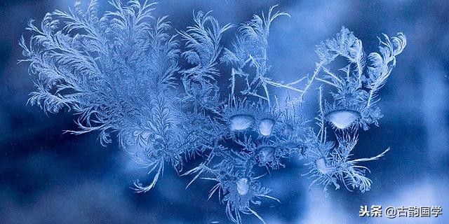 背诵古诗词词汇,古诗词词语小词典