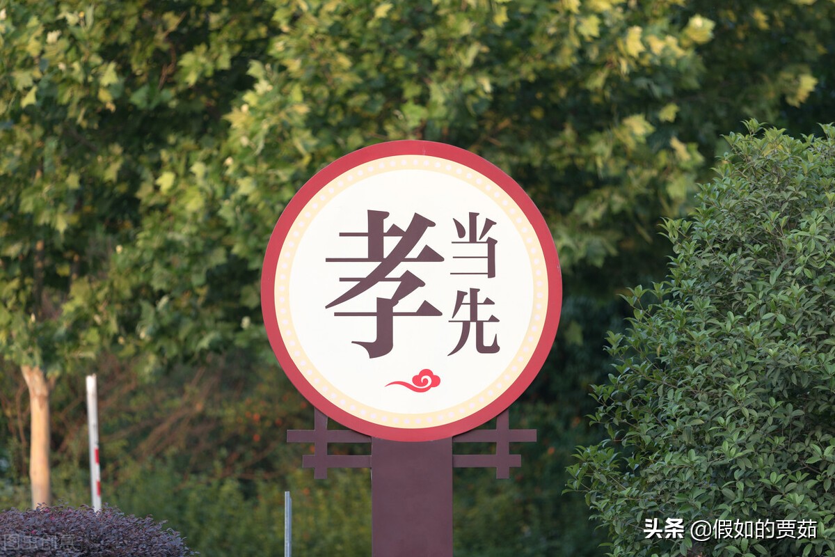 老人活得太长寿是好事还是坏事,老人太长寿是好事吗