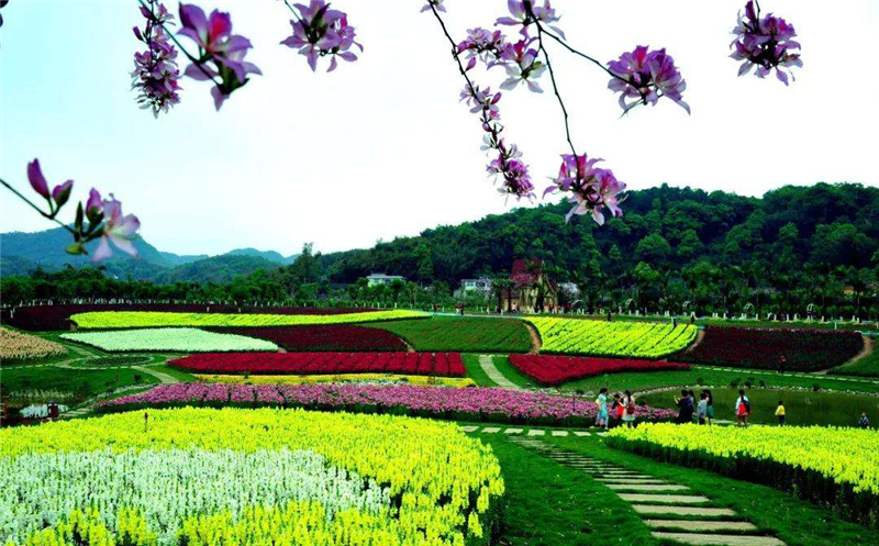 四川旅游踩坑的地方,贵州旅游踩坑