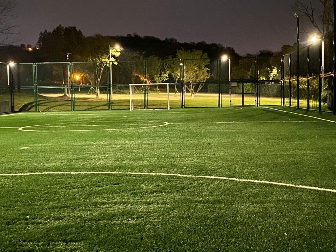 南京的小众景点非常适合一个人去,南京充满森林的公园