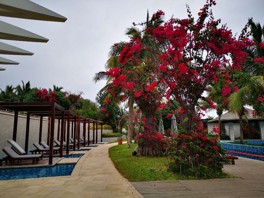 中国最大马尔代夫蜈支洲岛,中国马尔代夫蜈支洲岛视频