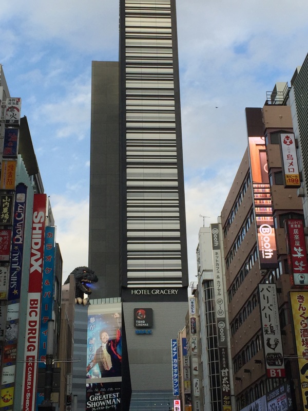 东京自由行攻略和费用 (日本东京大阪京都自由行)