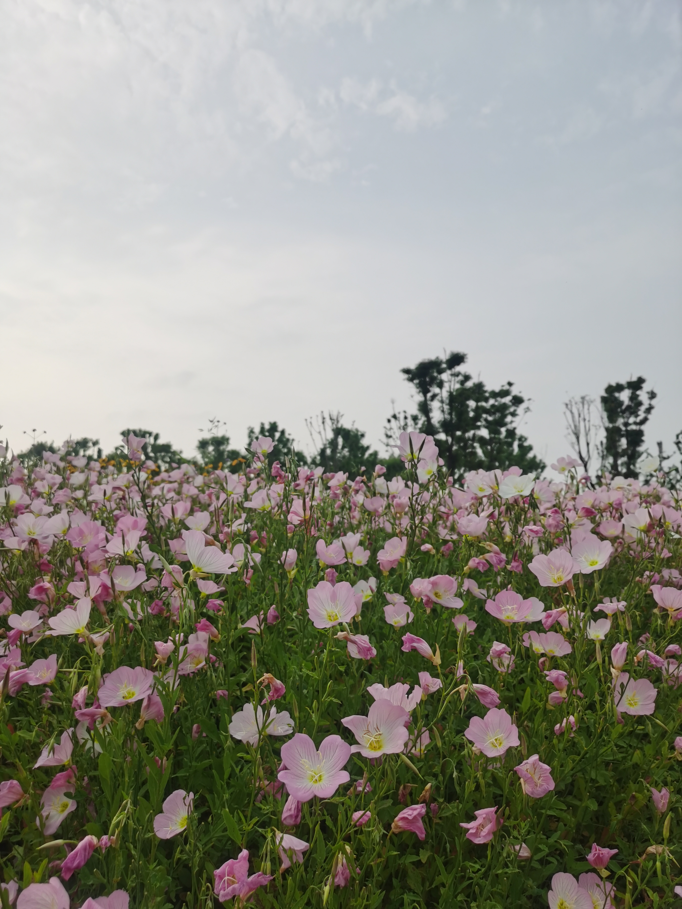 曾经的脏乱差变成了现在的新景观,从面目全非到焕然一新
