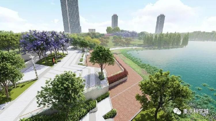 大型绿地公园,25万平方人工湖