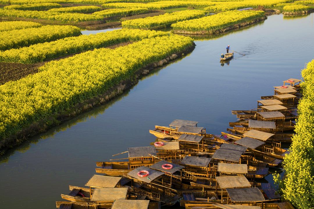 世界四大名花海,世界四大花海排名
