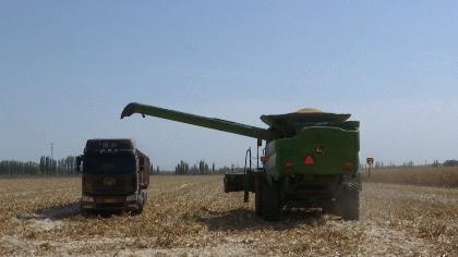 走向小康,走向小康完整版